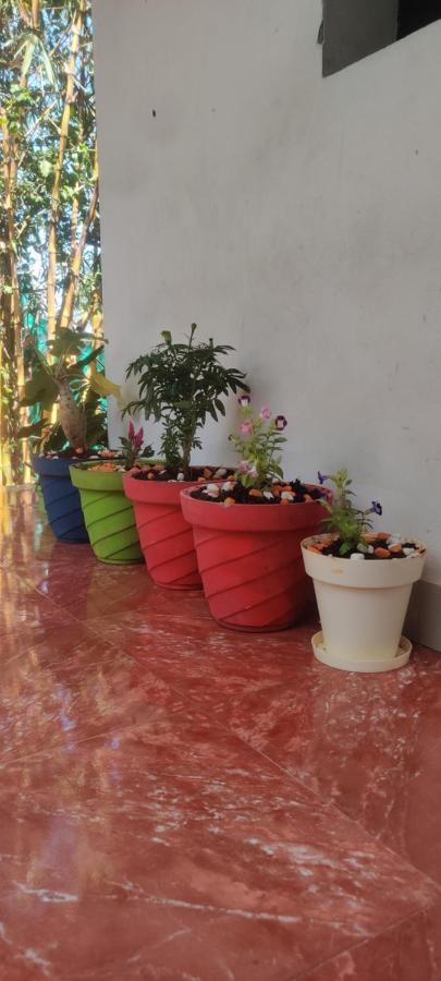 מהבליפורם Mahabs Homestay Villa מראה חיצוני תמונה